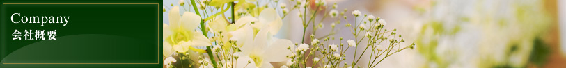 Company｜会社概要