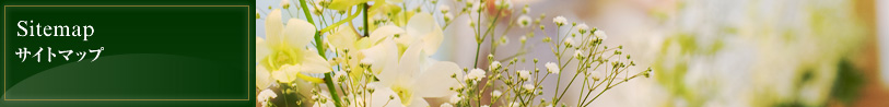 Sitemap｜サイトマップ