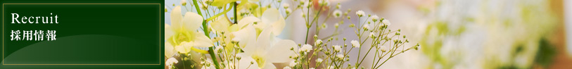 Recruit｜採用情報