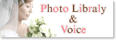 フォトライブラリー&ヴォイス